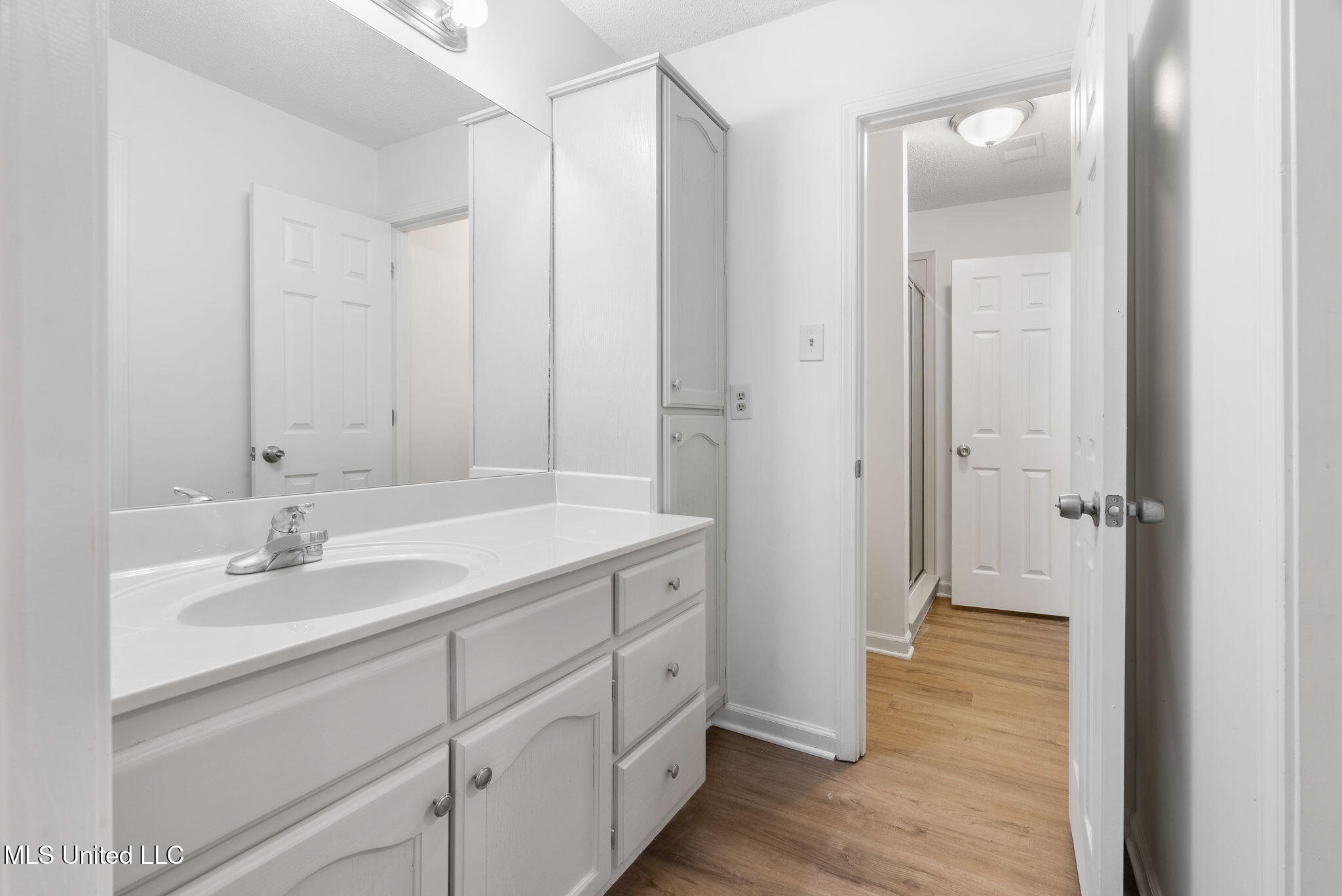 33 Foxwood Circle East, Unit W Hernando, MS 38632 - Photo 26 of 40 Jack and Jill bathroom 3 (2)