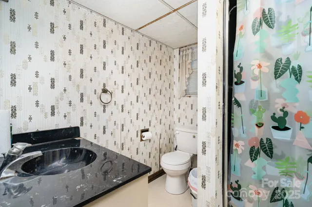 a bathroom with a sink and toilet