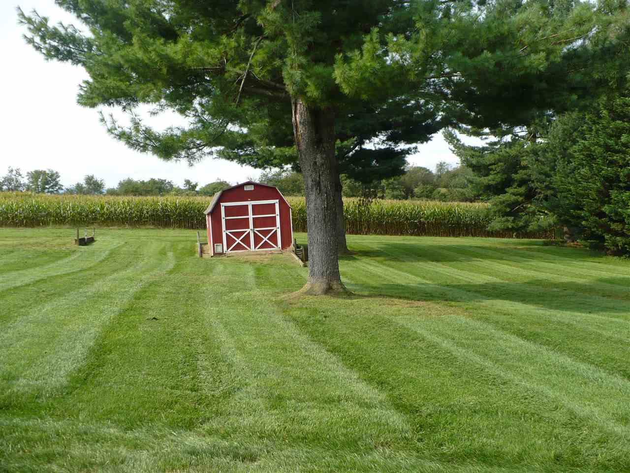 961 Ladd Road Waynesboro, VA 22980 - Photo 26 of 30 a view of a park with large trees