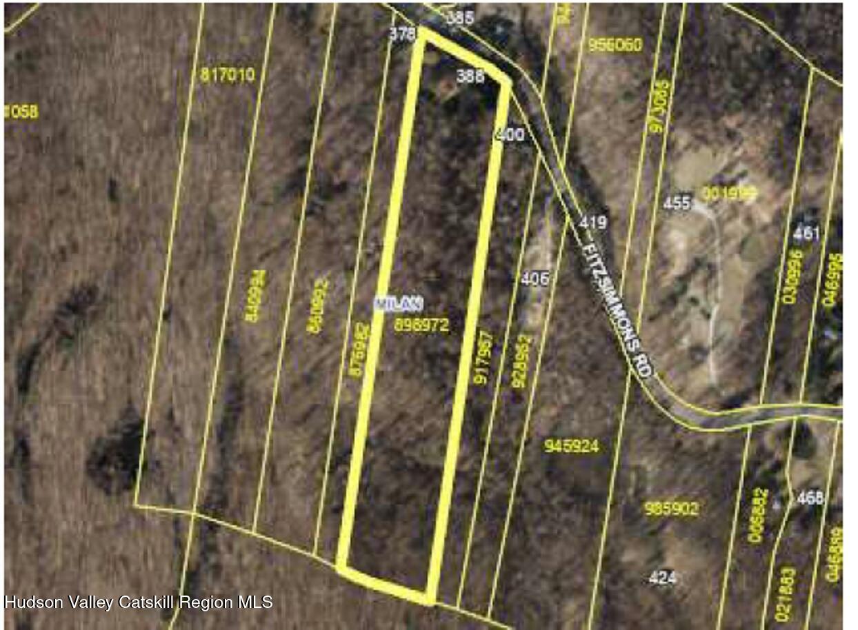 388 Fitzsimmons Road Red Hook, NY 12571 - Photo 17 of 17 lot dimensions