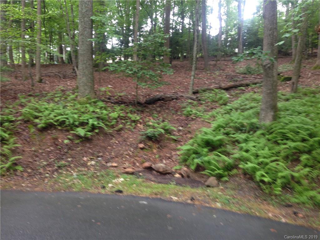0 Ledbetter Road Arden, NC 28704 - Photo 1 of 2 Gallery Image 1