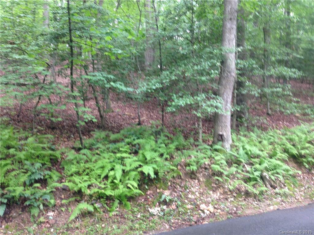 0 Ledbetter Road Arden, NC 28704 - Photo 2 of 2 Gallery Image 2