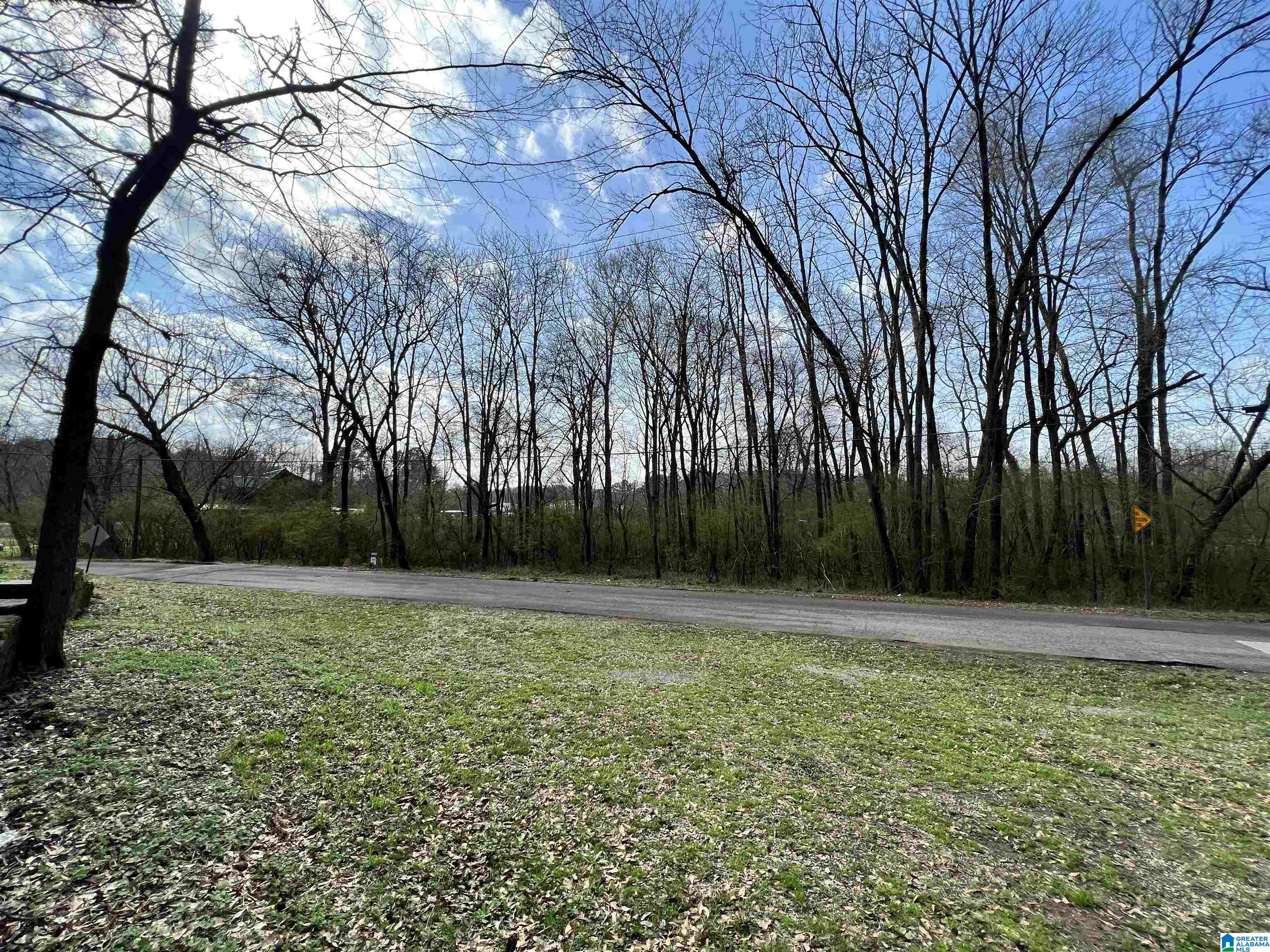 112 Robinson Street, Unit 95 ACRES Springville, AL 35146 - Photo 2 of 5