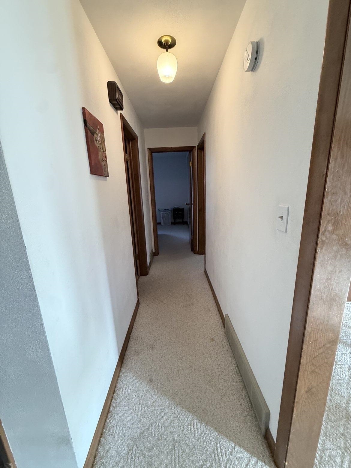 214 South Long Street Warren, IL 61087 - Photo 11 of 28