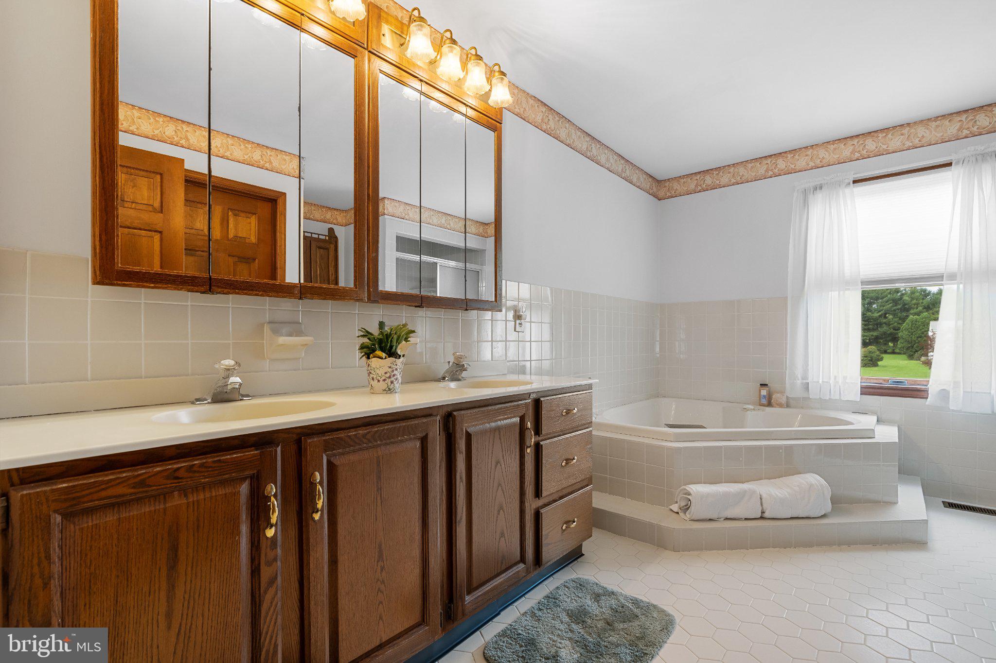 160 Congo-Niantic Road Barto, PA 19504 - Photo 46 of 84 Elegant bathroom with natural light.