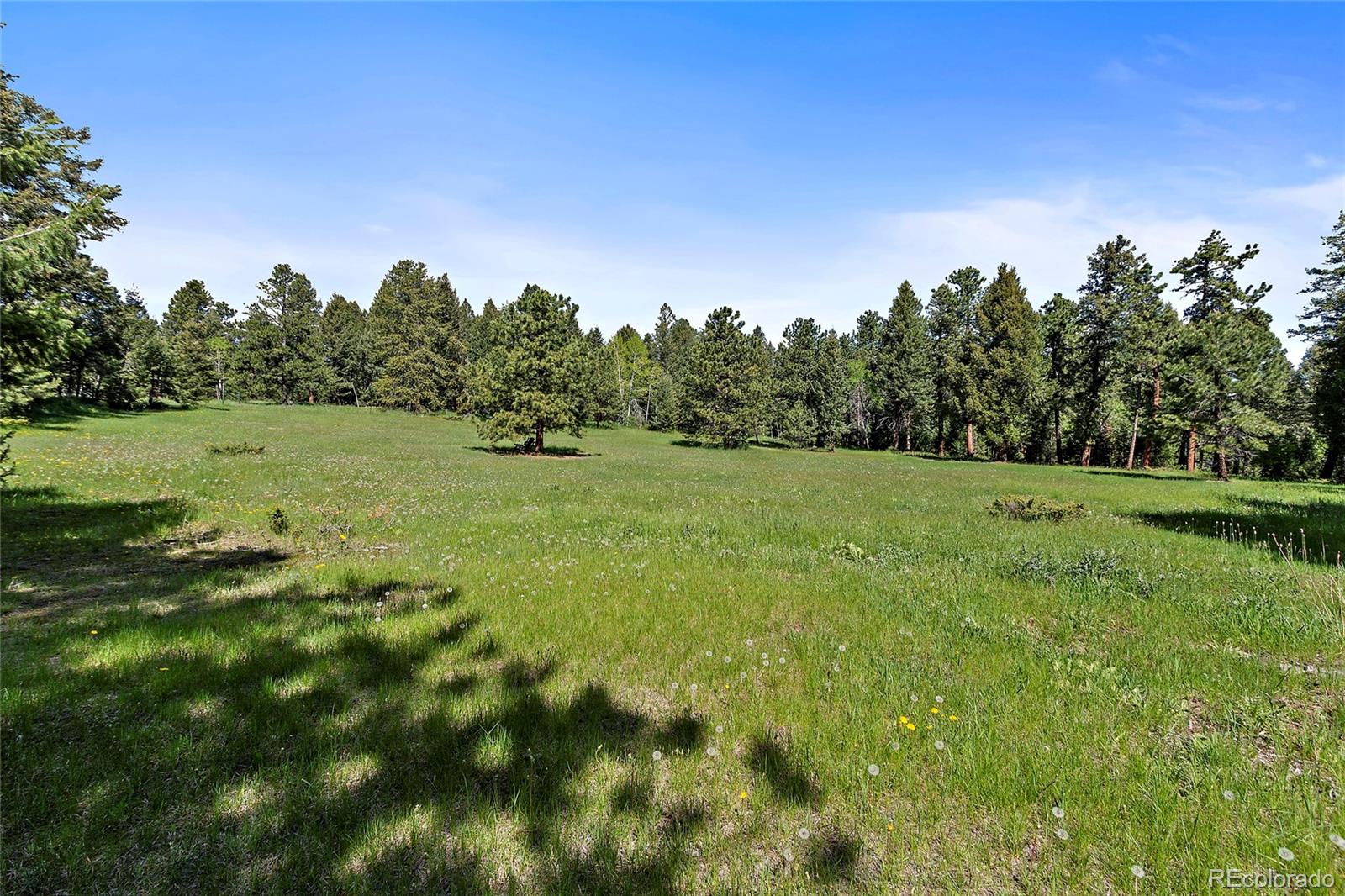 8830 South Blue Creek Road Evergreen, CO 80439 - Photo 26 of 28 Gallery Image 26