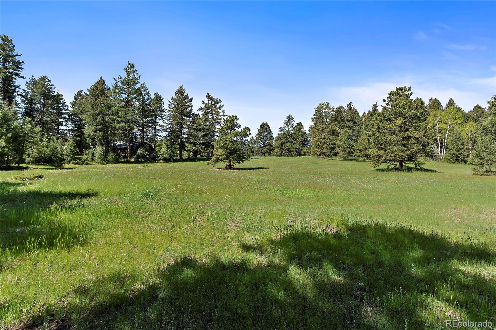 8830 South Blue Creek Road Evergreen, CO 80439 - Photo 27 of 28 Gallery Image 27