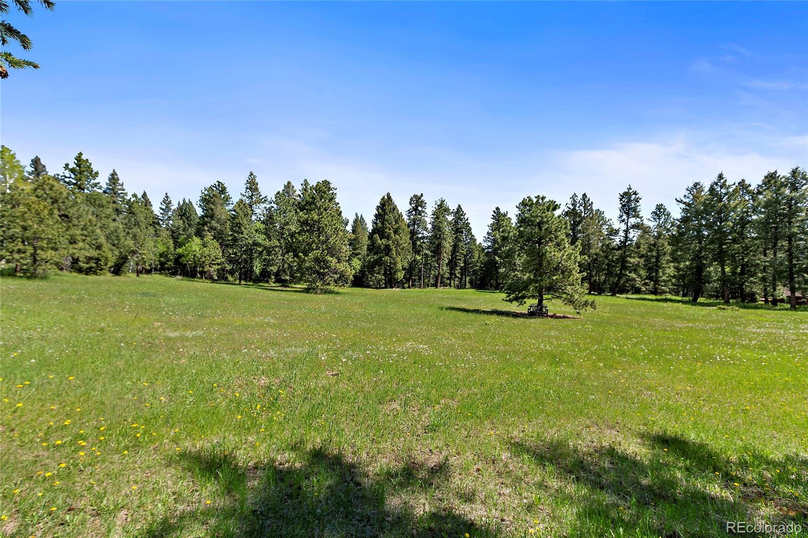 8830 South Blue Creek Road Evergreen, CO 80439 - Photo 28 of 28 Gallery Image 28