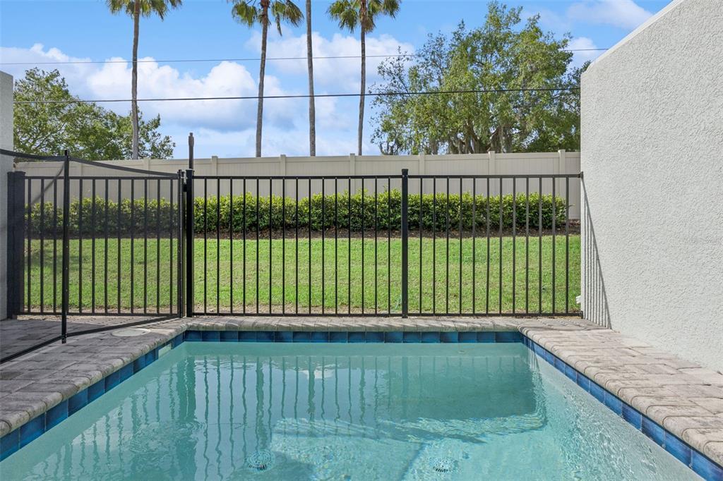 8008 Formosa Valley Place Kissimmee, FL 34747 - Photo 35 of 55 a view of a backyard with a garden