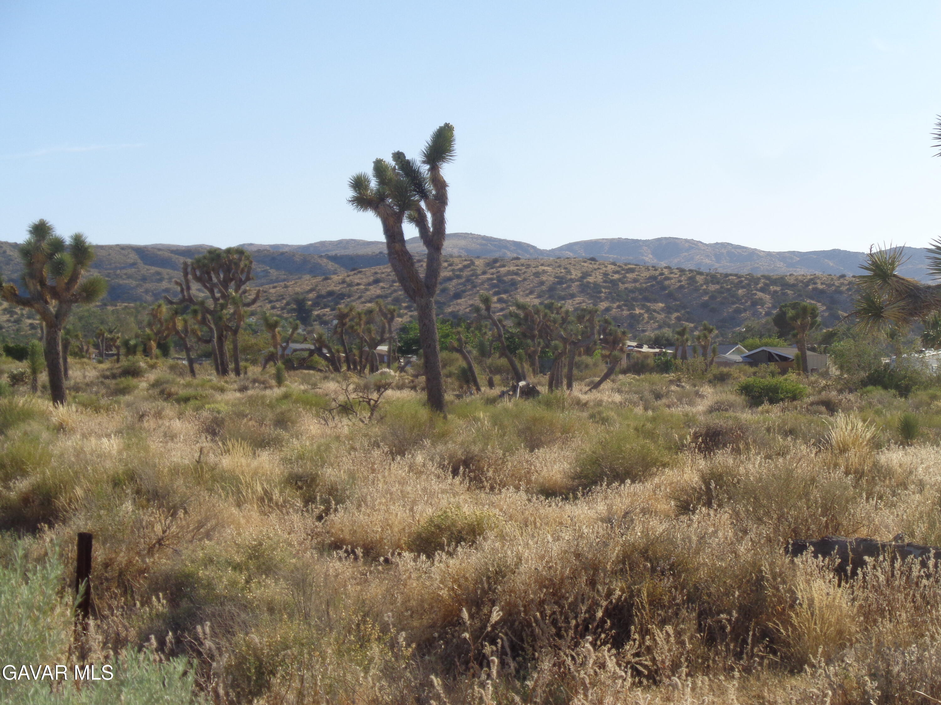 1 Pearblossom Ca Littlerock, CA 93543 - Photo 10 of 21 DSC03785