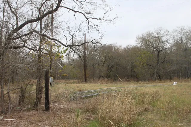 a view of a backyard with large trees