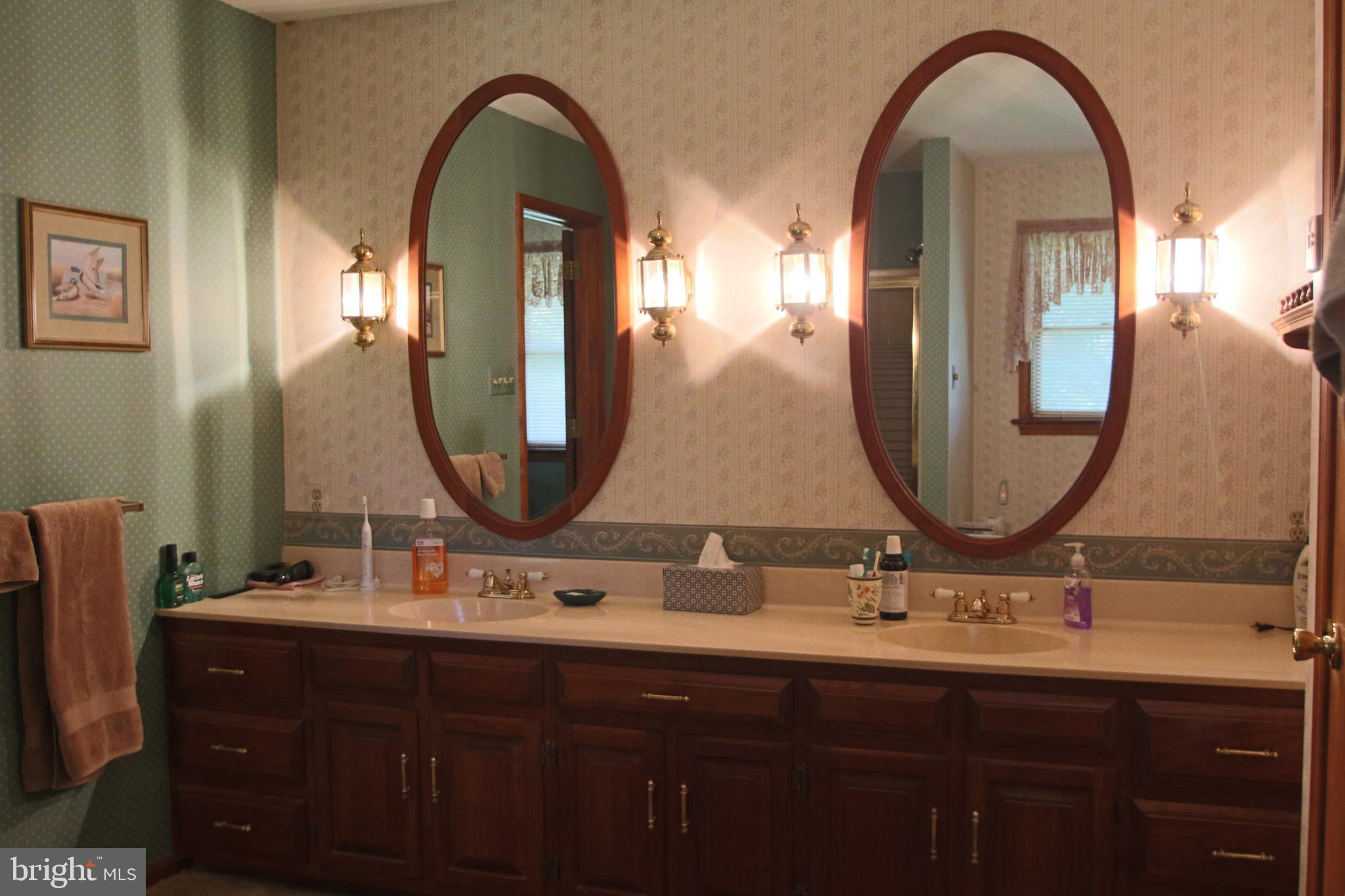 38 Riverview Road Pottstown, PA 19465 - Photo 43 of 66 Main bedroom bath with soaking tub