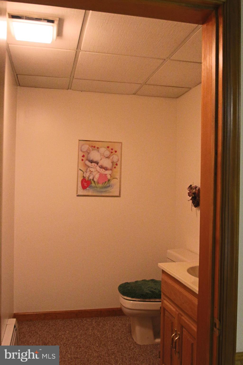 38 Riverview Road Pottstown, PA 19465 - Photo 58 of 66 Powder room in basement