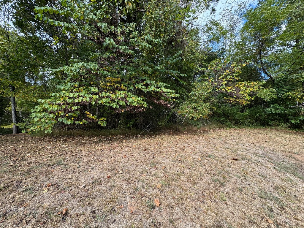 Tbd Cherry Street Murphy, NC 28906 - Photo 7 of 7
