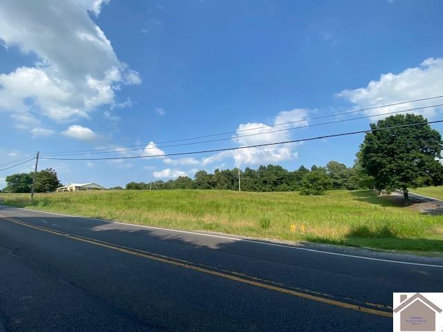 0 Slaughter Road Benton, KY 42025 - Photo 3 of 4 3
