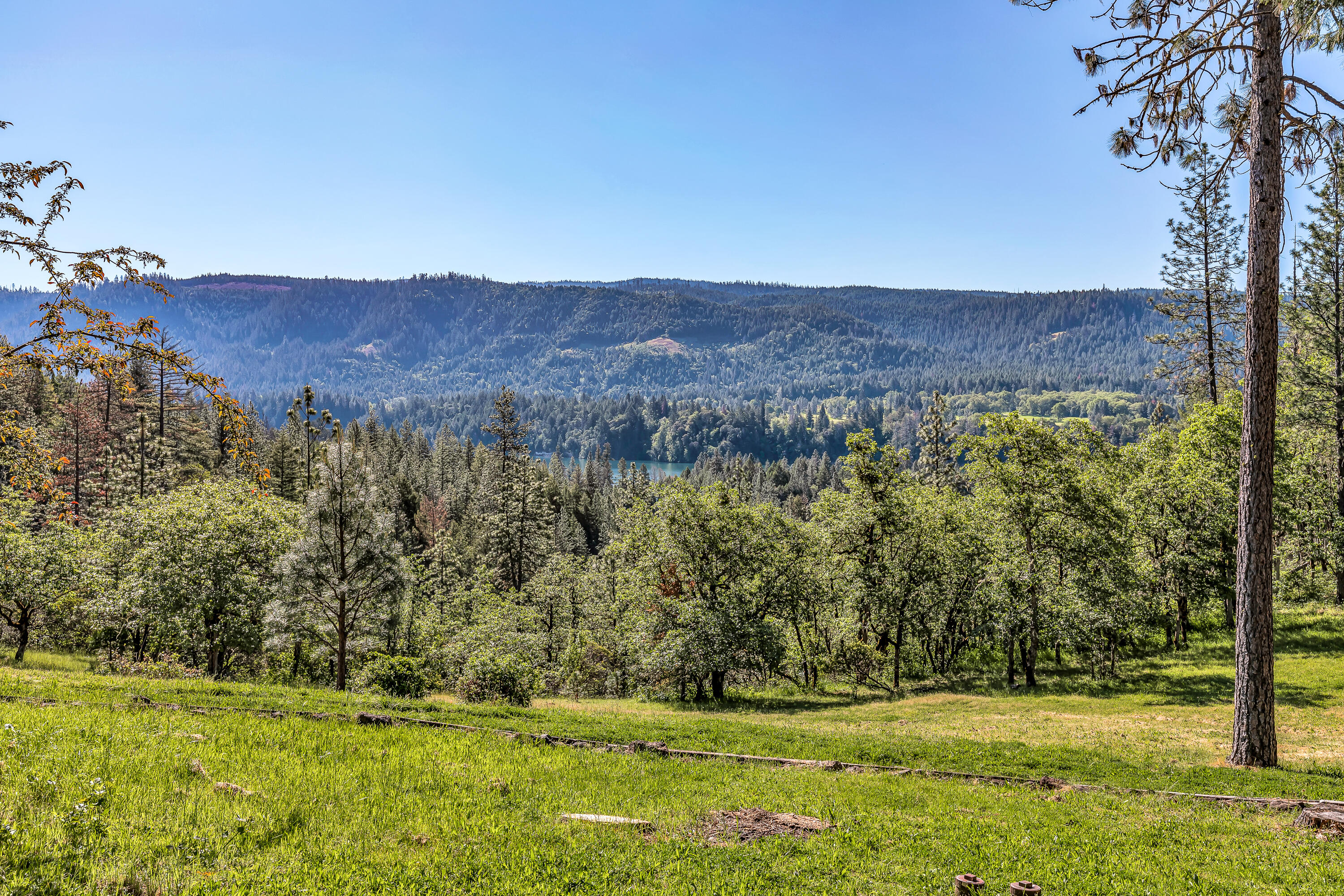 1306 Lewis Road Prospect, OR 97536 - Photo 38 of 66 9R9A9610