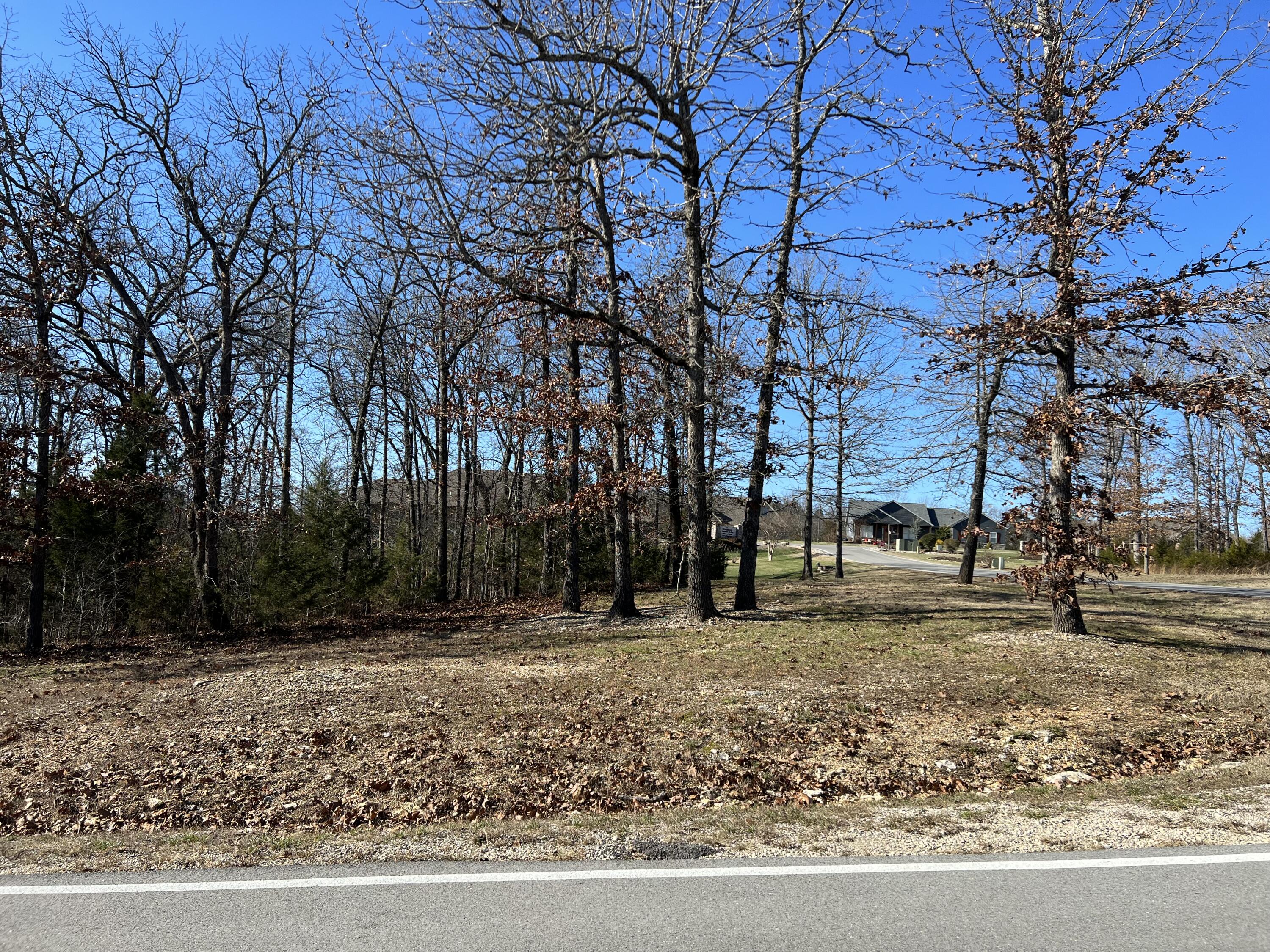 Lot 69 Limestone Dr Branson Drive Reeds Spring, MO 65737 - Photo 1 of 1 Lot 69