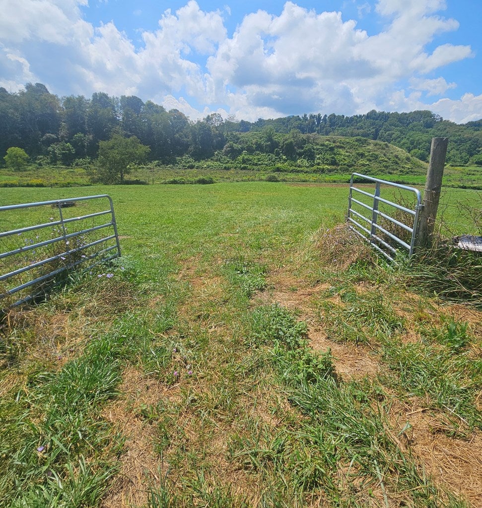 1133 Peery Addition Road Tazewell, VA 24651 - Photo 4 of 49 Gallery Image 4