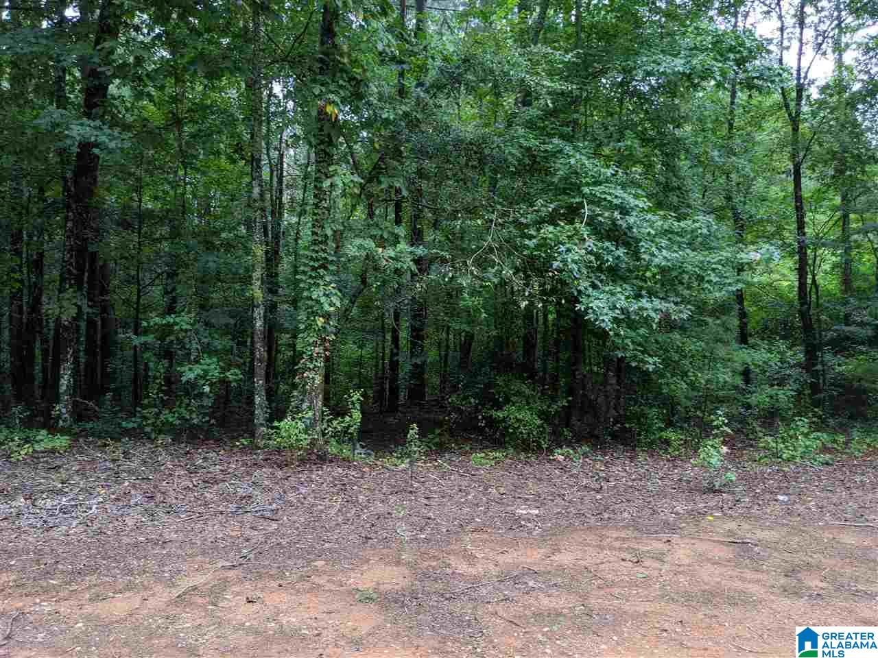 178 Olde Springs Road, Unit 24 Anniston, AL 36207 - Photo 6 of 37