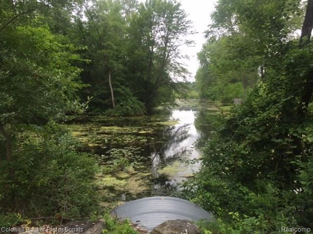 4094 Patterson Lk Road Pinckney, MI 48169 - Photo 6 of 6 IMG_1285.jpg