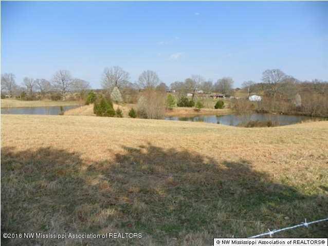 4075 Bett Road Coldwater, MS 38618 - Photo 15 of 30 20160714024323609429000000-o