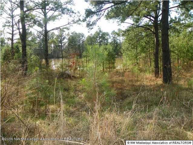 4075 Bett Road Coldwater, MS 38618 - Photo 16 of 30 20160714024323693831000000-o