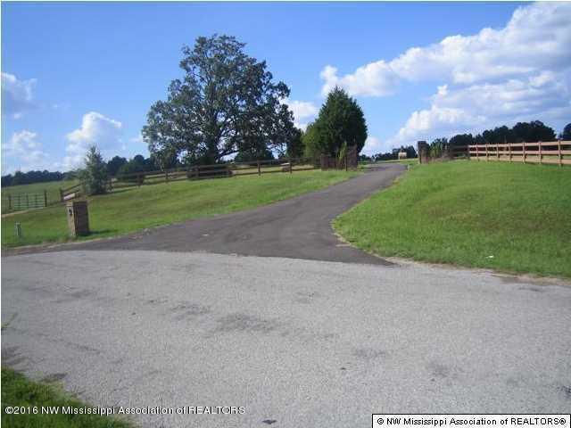 4075 Bett Road Coldwater, MS 38618 - Photo 19 of 30 20160714024324020276000000-o