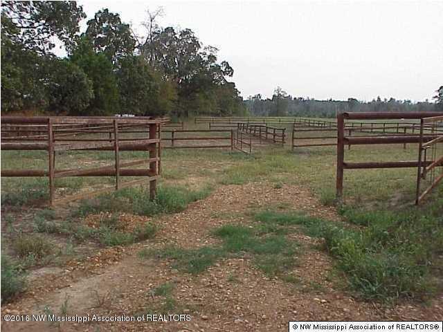 4075 Bett Road Coldwater, MS 38618 - Photo 20 of 30 20160714024324127950000000-o
