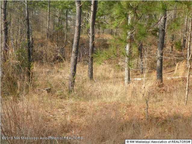 4075 Bett Road Coldwater, MS 38618 - Photo 22 of 30 20160714024324445610000000-o