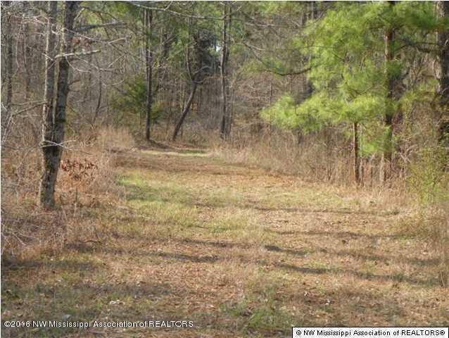 4075 Bett Road Coldwater, MS 38618 - Photo 23 of 30 20160714024324514208000000-o