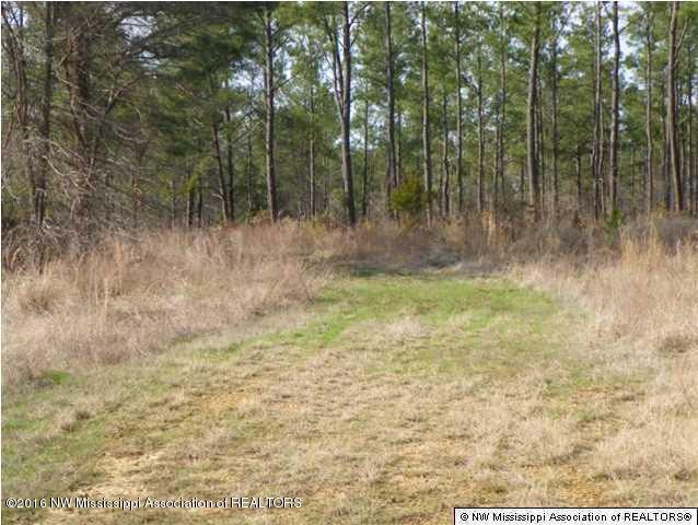 4075 Bett Road Coldwater, MS 38618 - Photo 24 of 30 20160714024324673881000000-o
