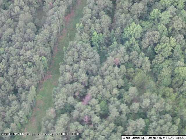 4075 Bett Road Coldwater, MS 38618 - Photo 25 of 30 20160714024324750188000000-o