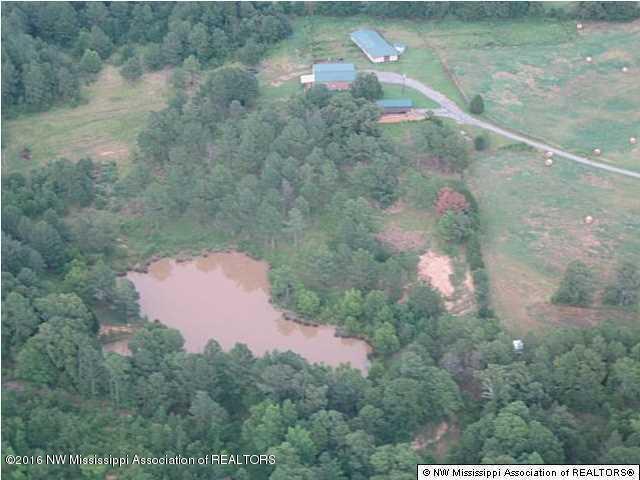4075 Bett Road Coldwater, MS 38618 - Photo 28 of 30 20160714024325098777000000-o