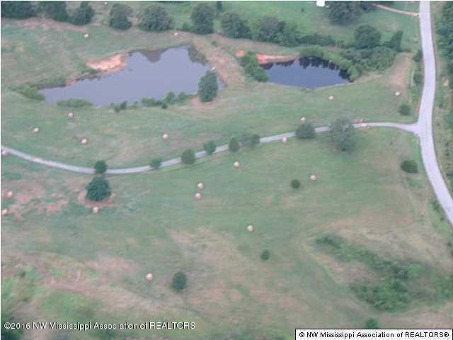 4075 Bett Road Coldwater, MS 38618 - Photo 29 of 30 20160714024325161374000000-o