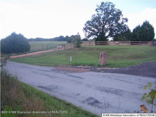 4075 Bett Road Coldwater, MS 38618 - Photo 5 of 30 20160714024322534034000000-o