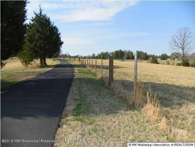 4075 Bett Road Coldwater, MS 38618 - Photo 6 of 30 20160714024322648020000000-o