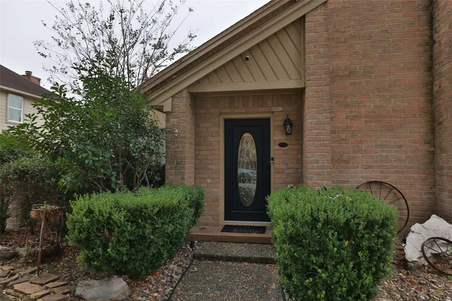 a view of a park with large trees
