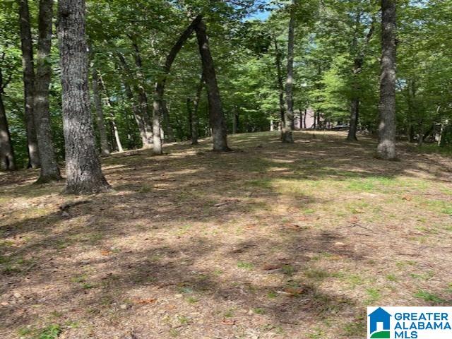371 Signal Trail, Unit 7 Pelham, AL 35124 - Photo 2 of 6
