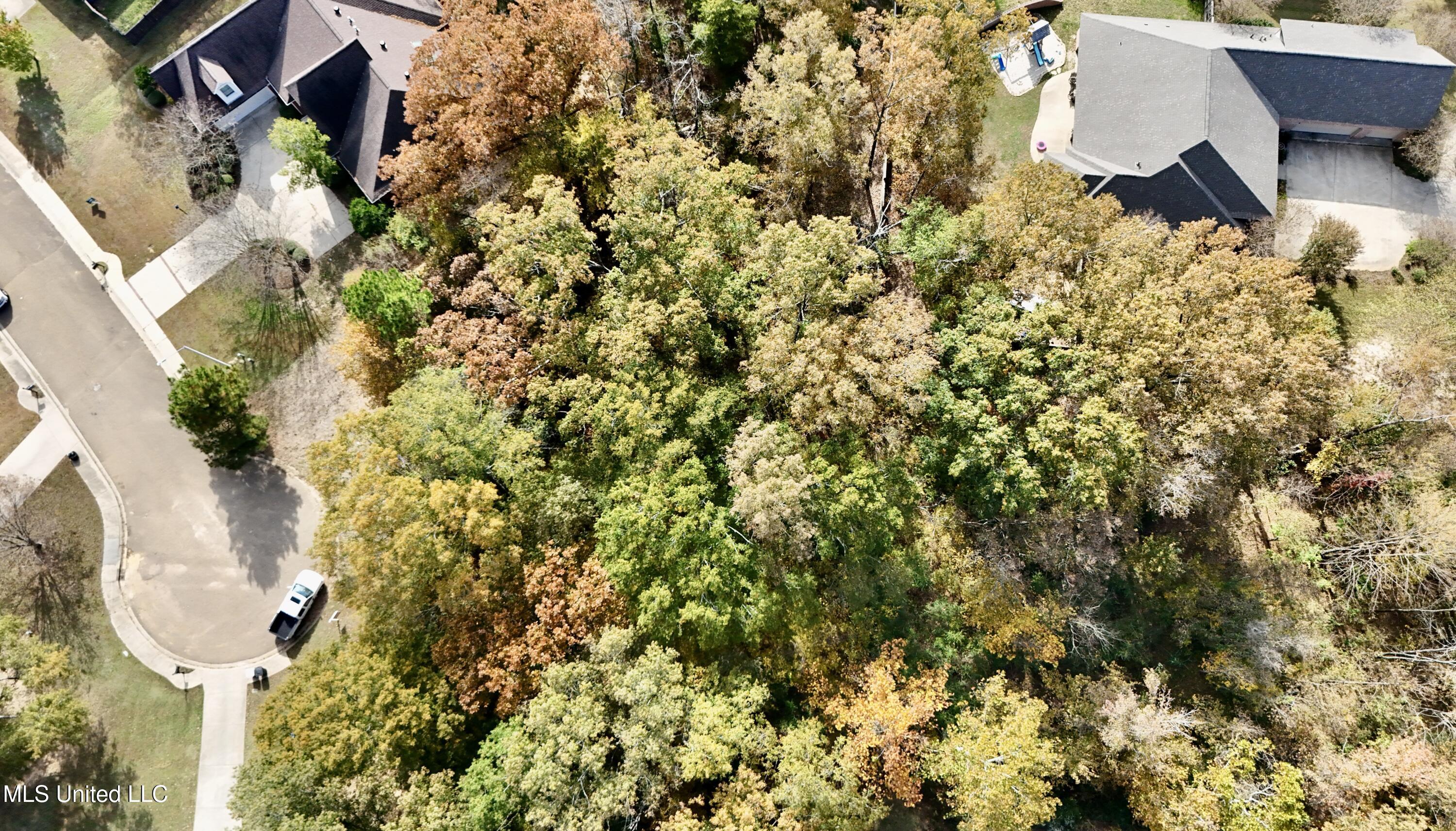 0 Ashton Place Clinton, MS 39056 - Photo 11 of 22 dji_fly_20251117_104628_0481_17633984859