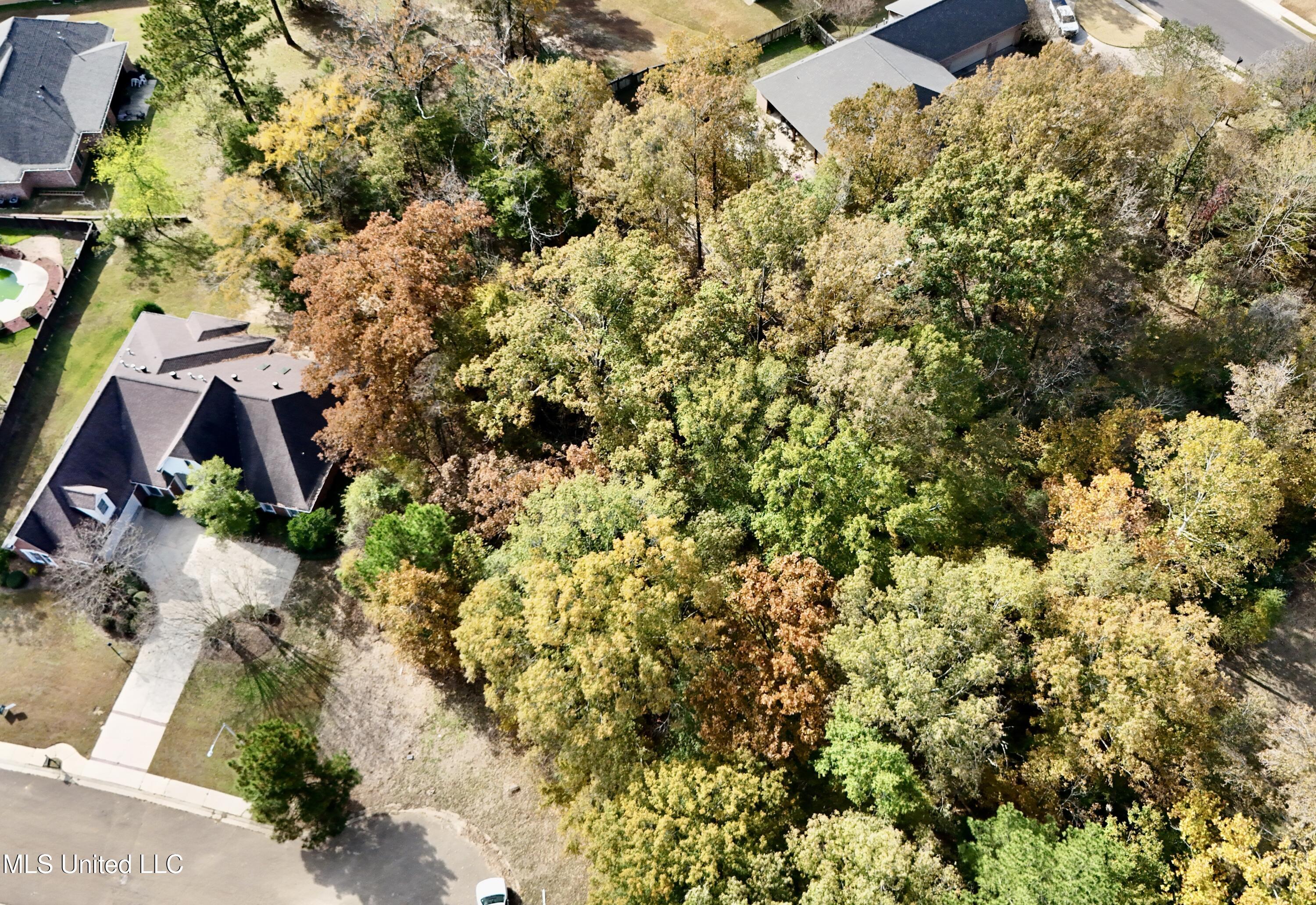 0 Ashton Place Clinton, MS 39056 - Photo 12 of 22 dji_fly_20251117_104644_0482_17633984822