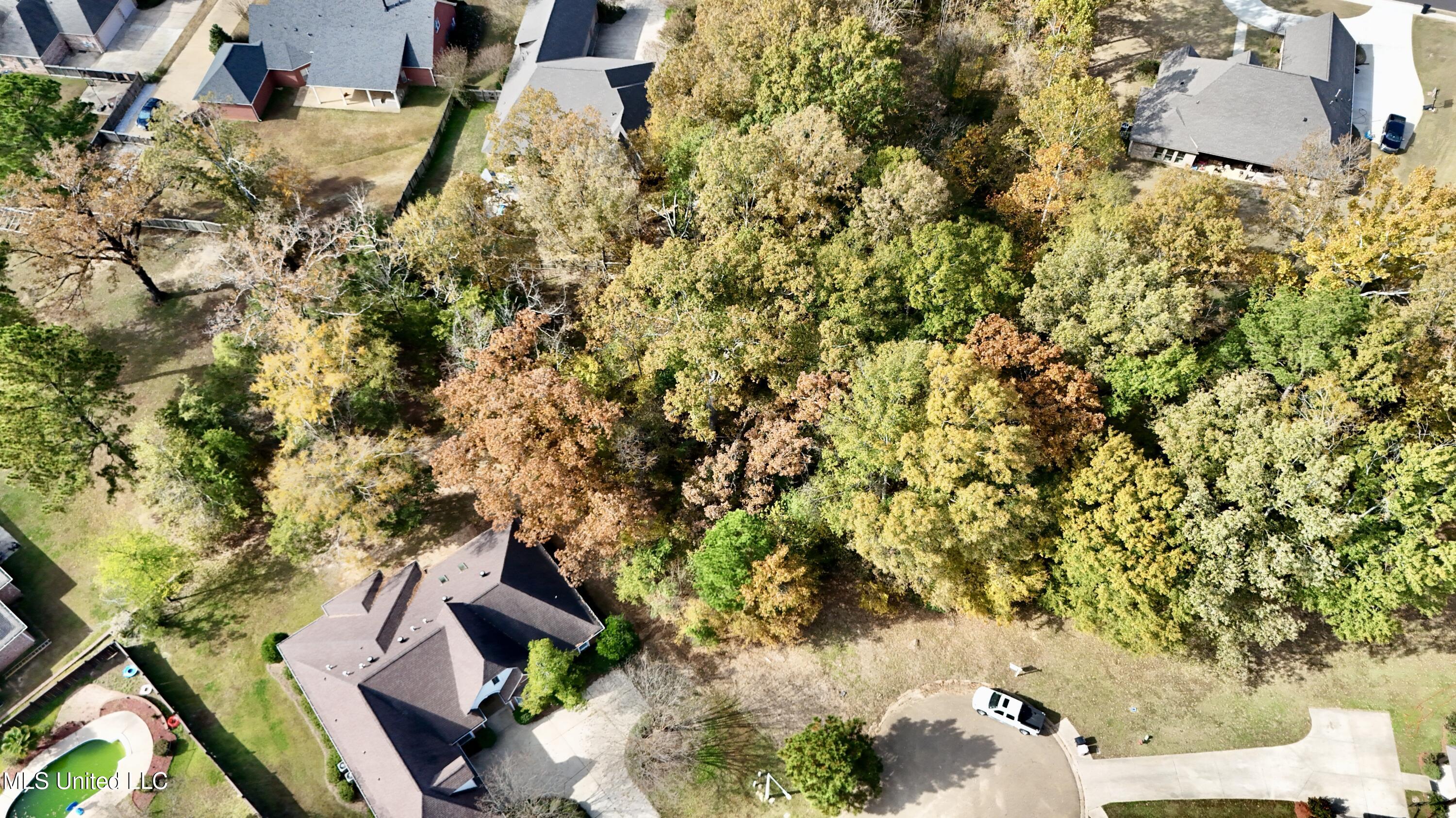 0 Ashton Place Clinton, MS 39056 - Photo 14 of 22 dji_fly_20251117_104704_0484_17633984611