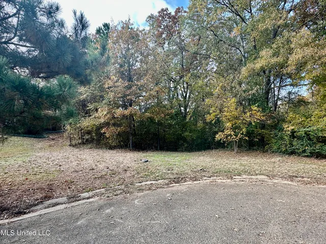 $43,000 | 0 Ashton Place, Clinton, MS 39056