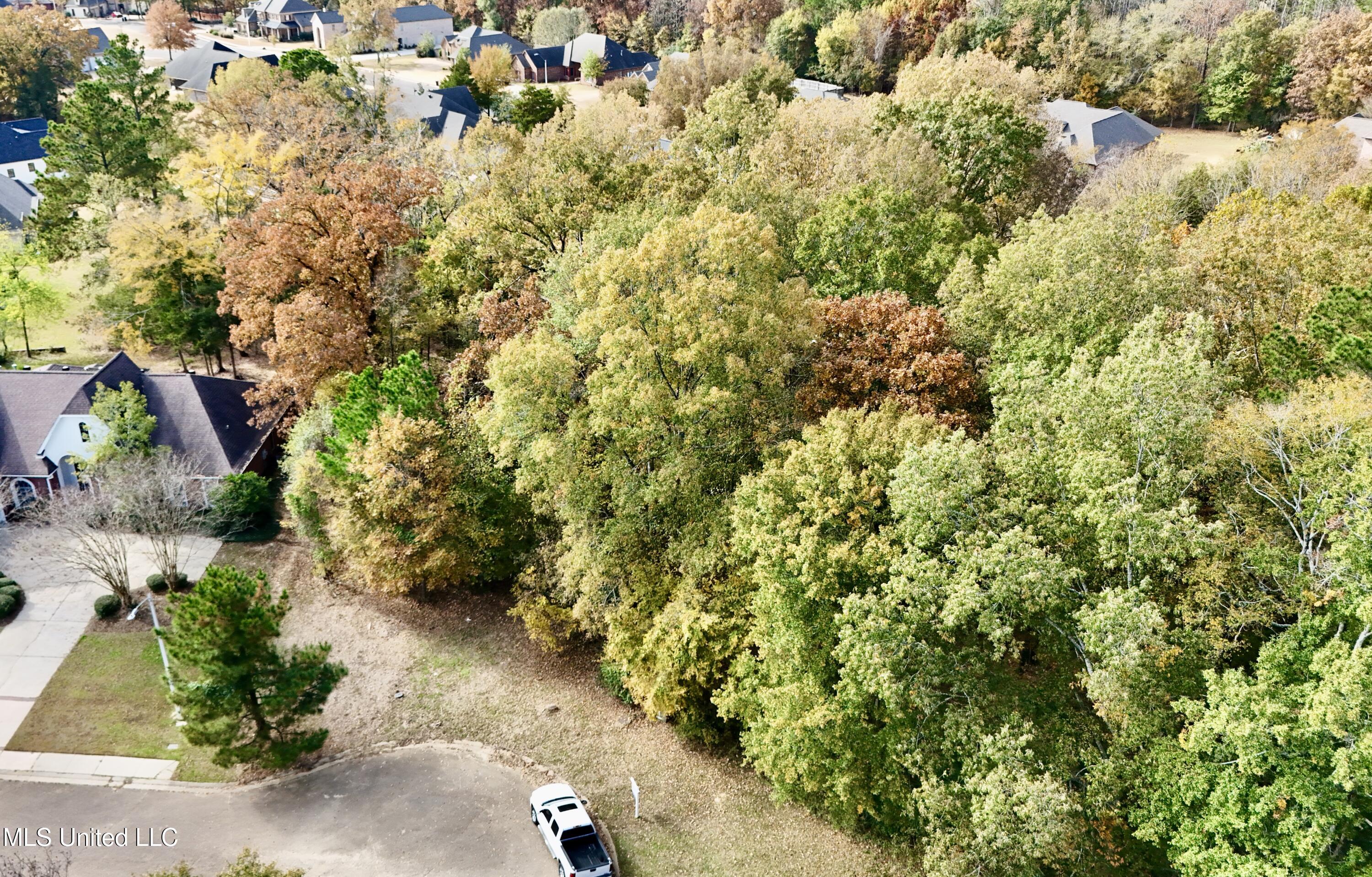0 Ashton Place Clinton, MS 39056 - Photo 3 of 22 dji_fly_20251117_104414_0474_17633985153