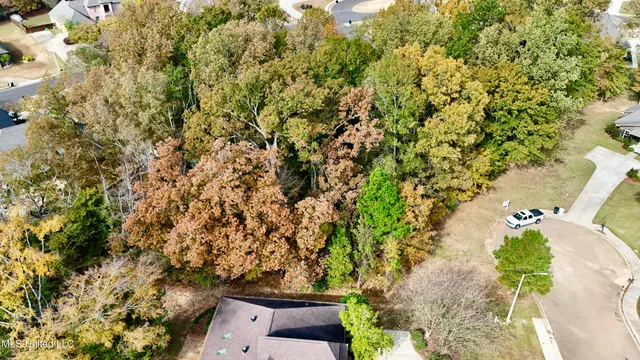 $43,000 | 0 Ashton Place, Clinton, MS 39056