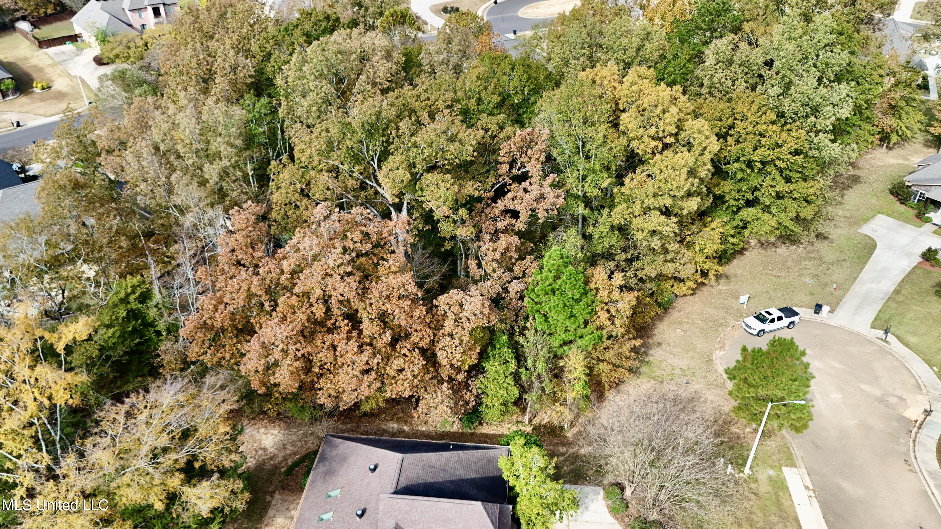 0 Ashton Place Clinton, MS 39056 - Photo 5 of 22 dji_fly_20251117_104450_0476_17633985074