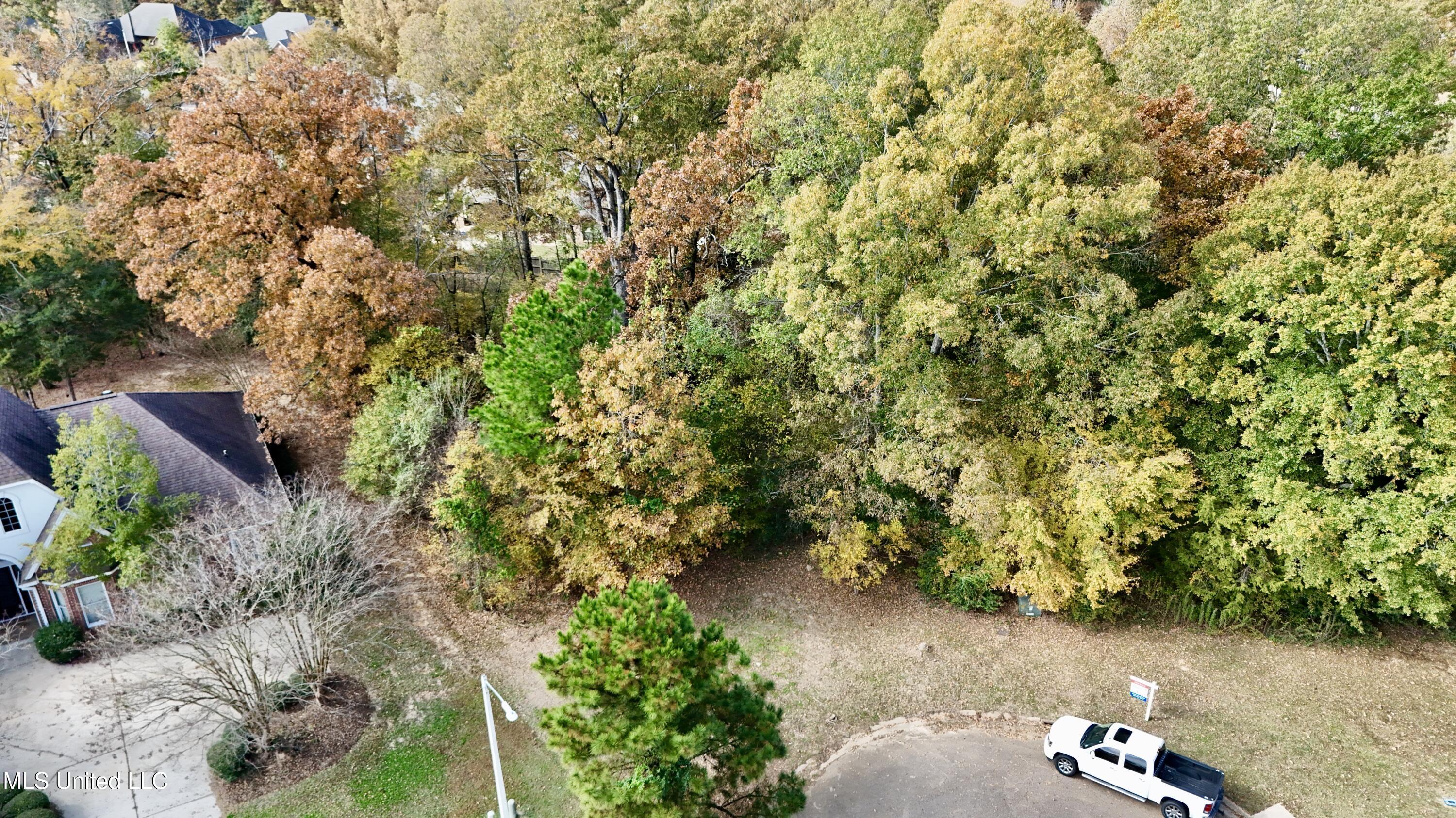 0 Ashton Place Clinton, MS 39056 - Photo 6 of 22 dji_fly_20251117_104358_0473_17633985185