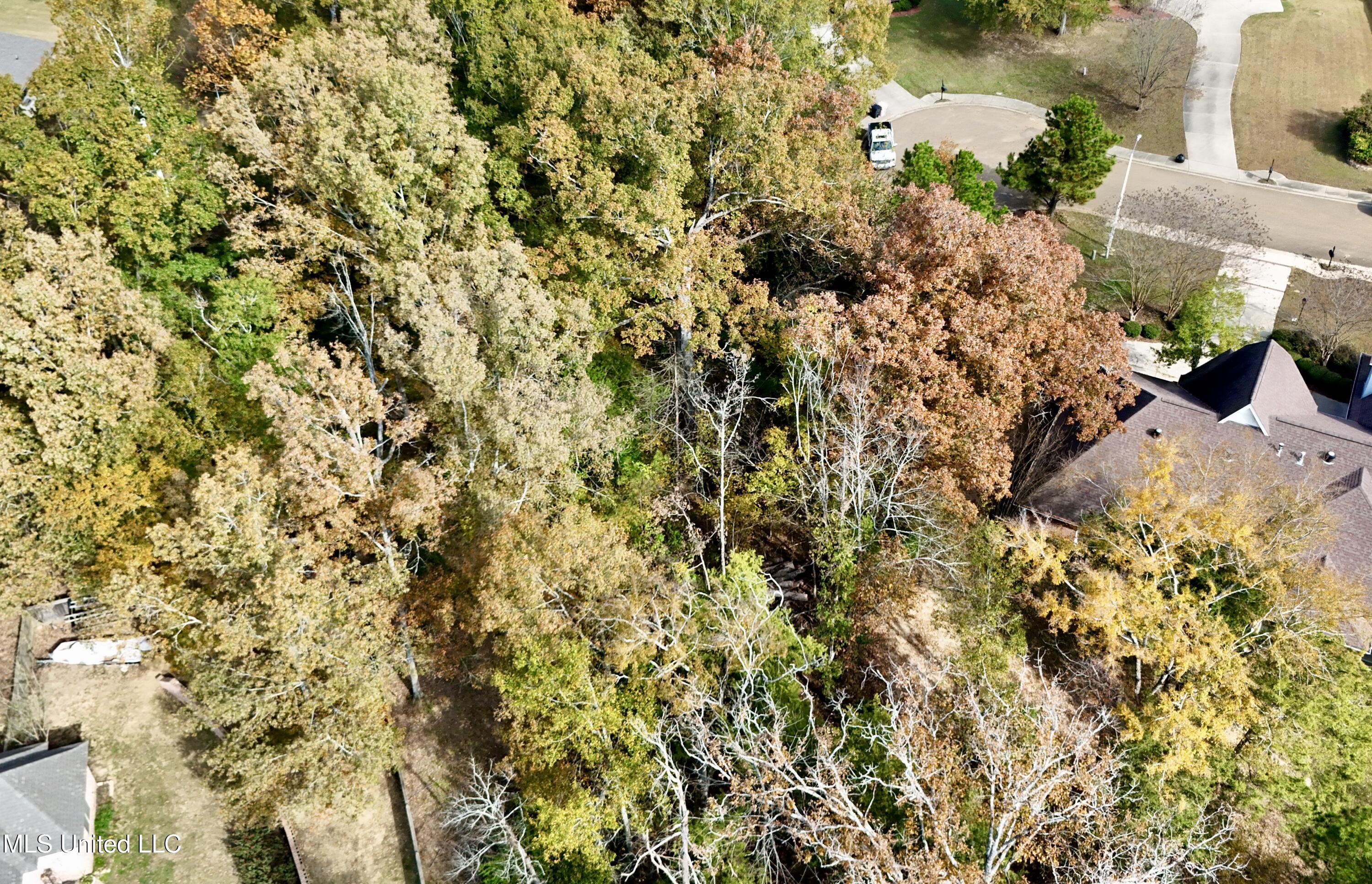 0 Ashton Place Clinton, MS 39056 - Photo 7 of 22 dji_fly_20251117_104514_0477_17633985027