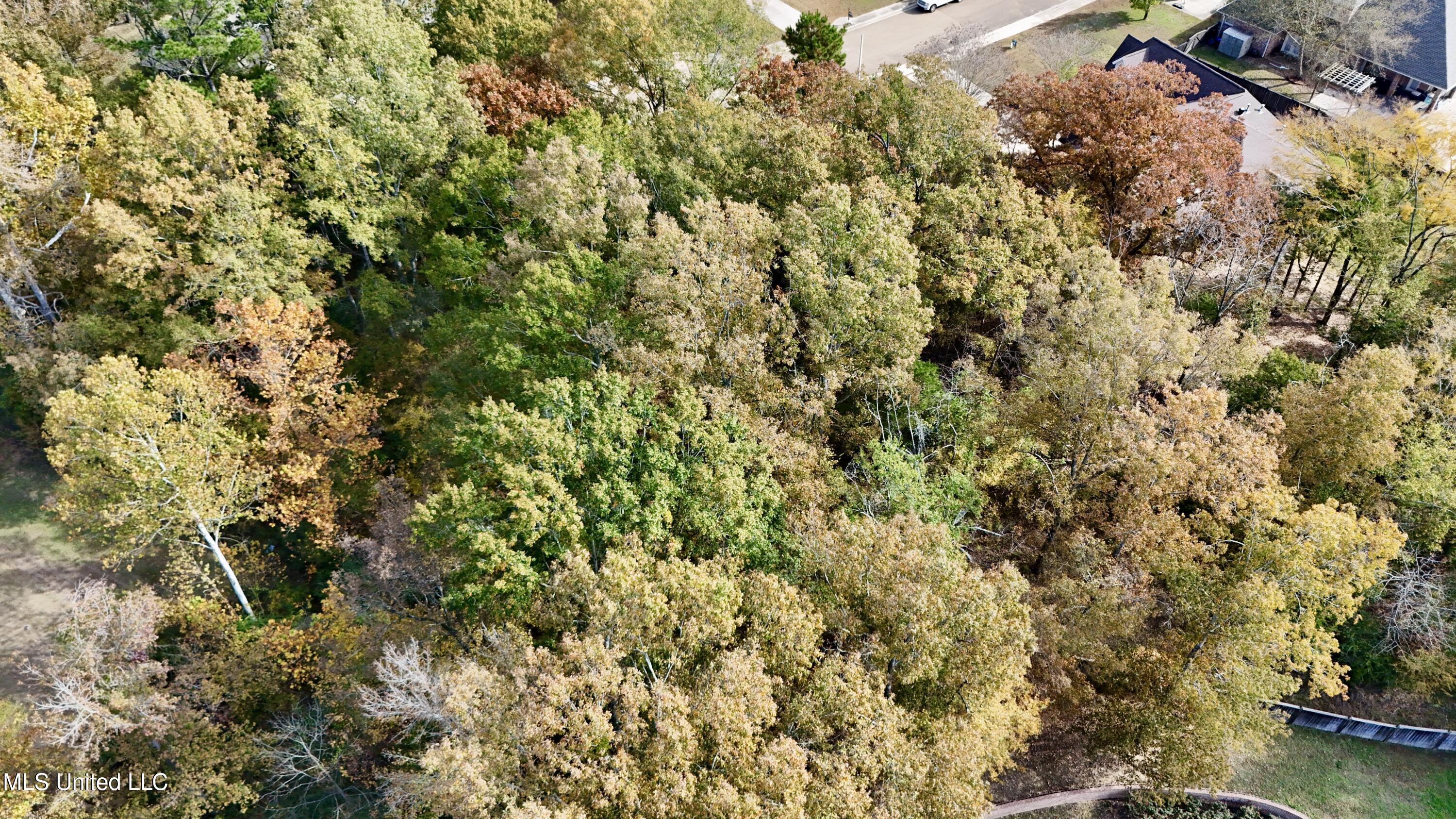 0 Ashton Place Clinton, MS 39056 - Photo 8 of 22 dji_fly_20251117_104530_0478_17633984988