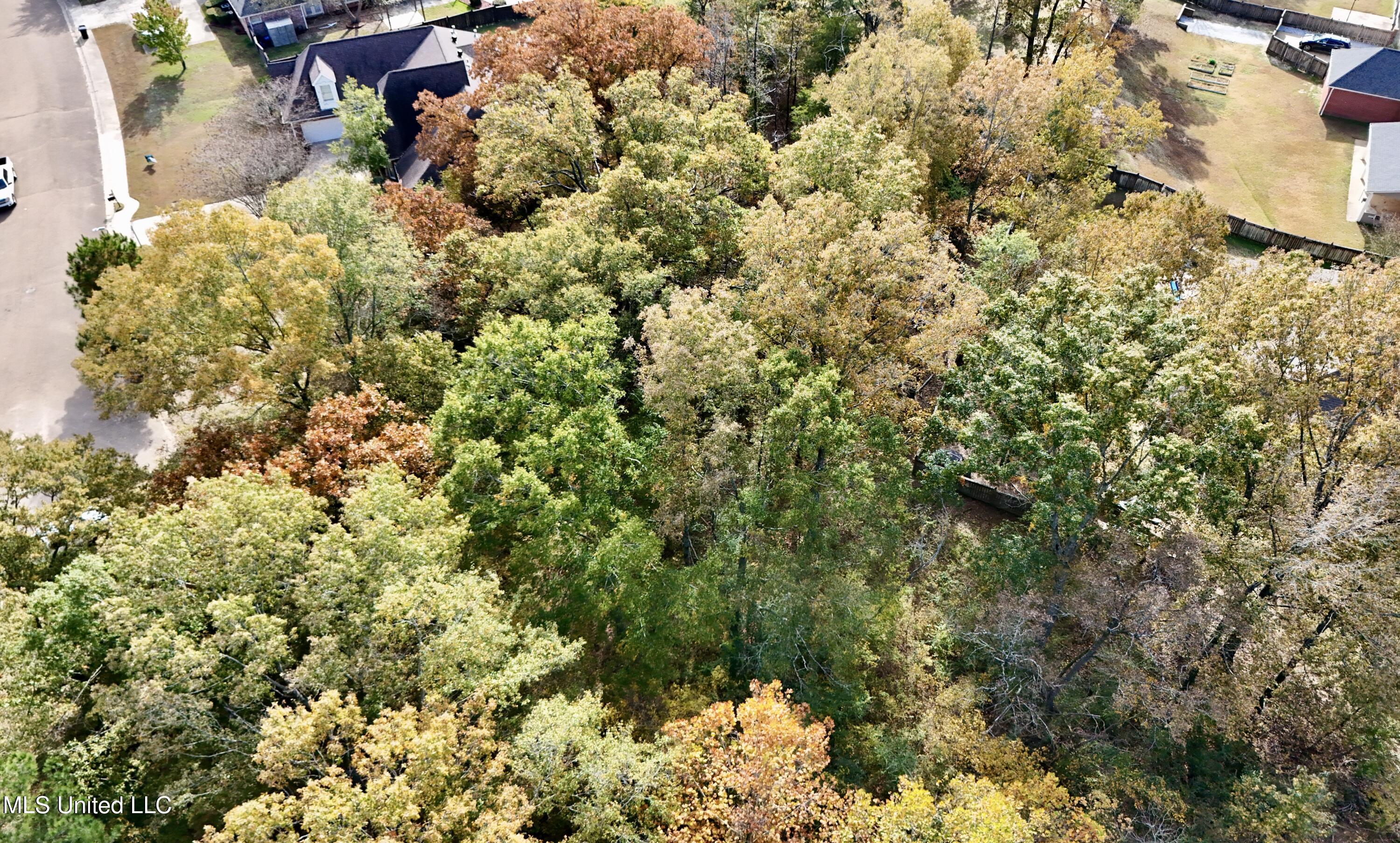 0 Ashton Place Clinton, MS 39056 - Photo 9 of 22 dji_fly_20251117_104544_0479_17633984947