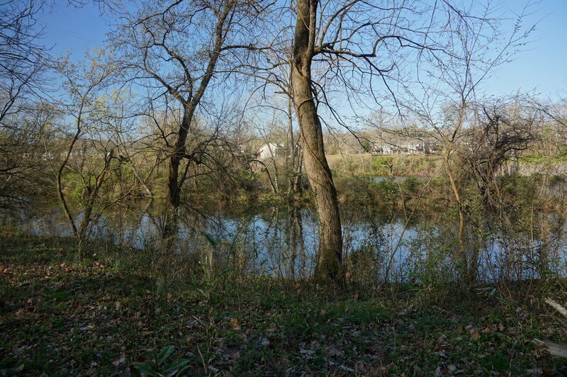 0 Iowa Colony Road Hollister, MO 65672 - Photo 6 of 23 DSC02598